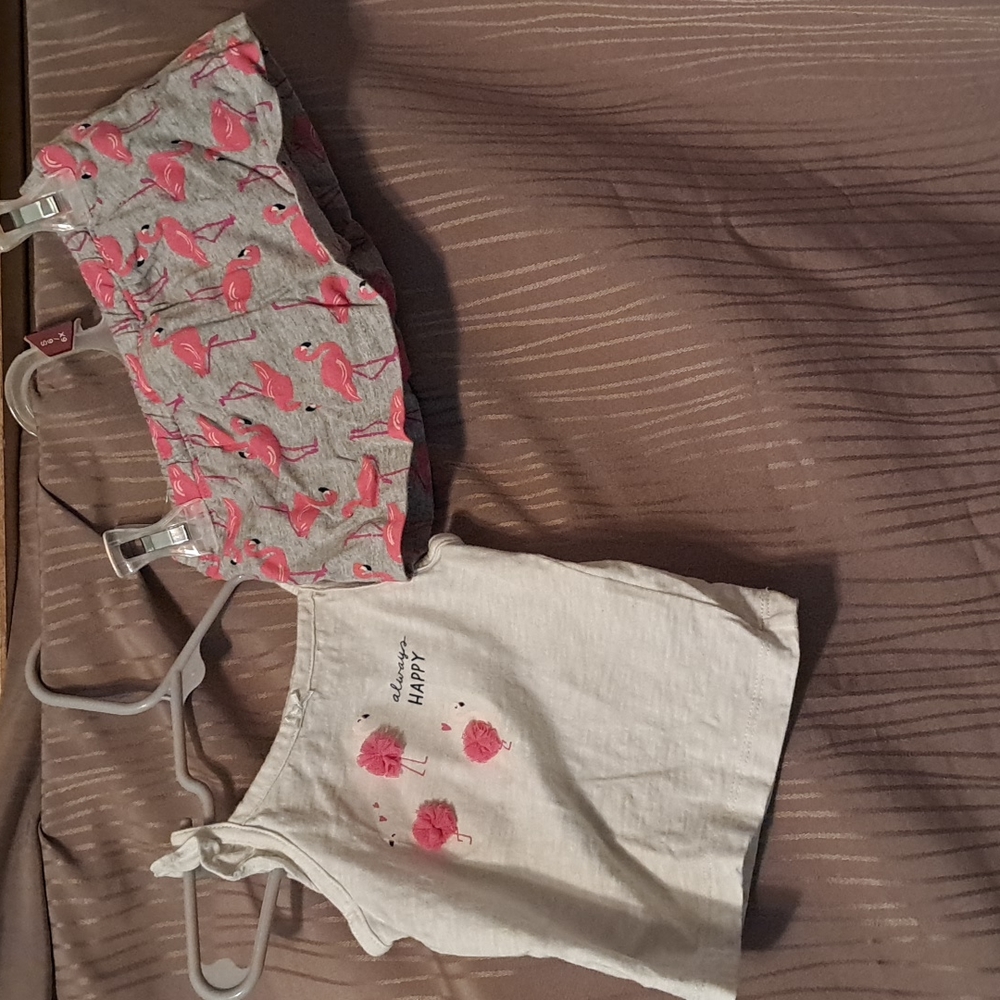 Carter's Flamingo outfit